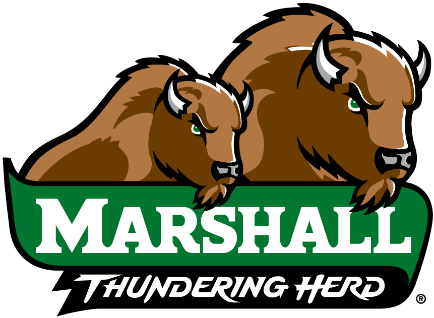 Marshall Thundering Herd 2001-Pres Alternate Logo v4 iron on transfers for T-shirts